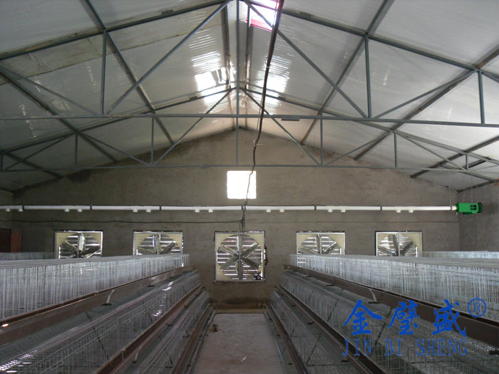 阶梯式养鸡设备-蛋鸡